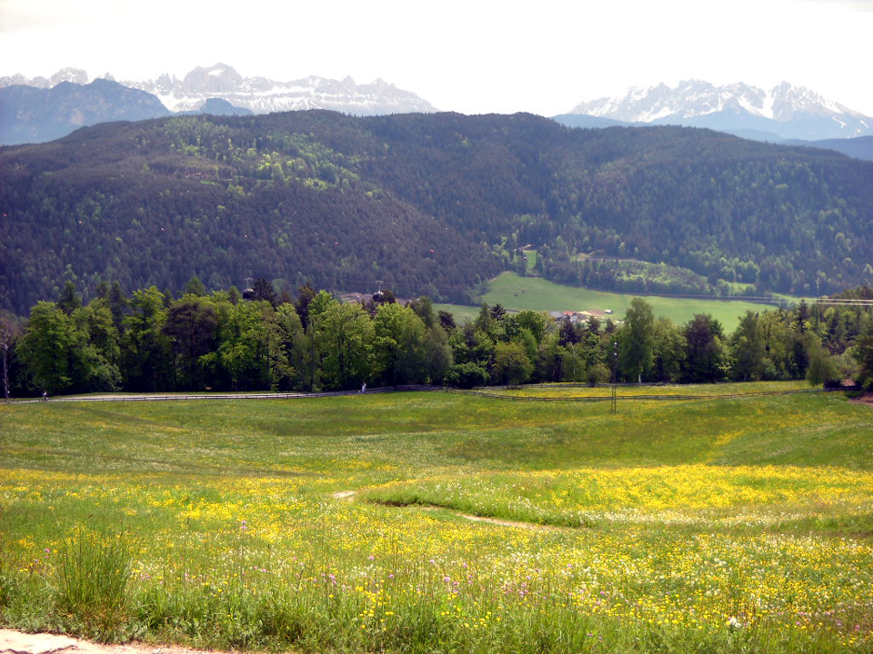 Adunata Bolzano 2012 al